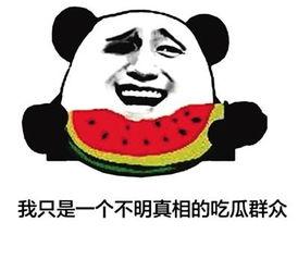 网络用语吃瓜是什么意思